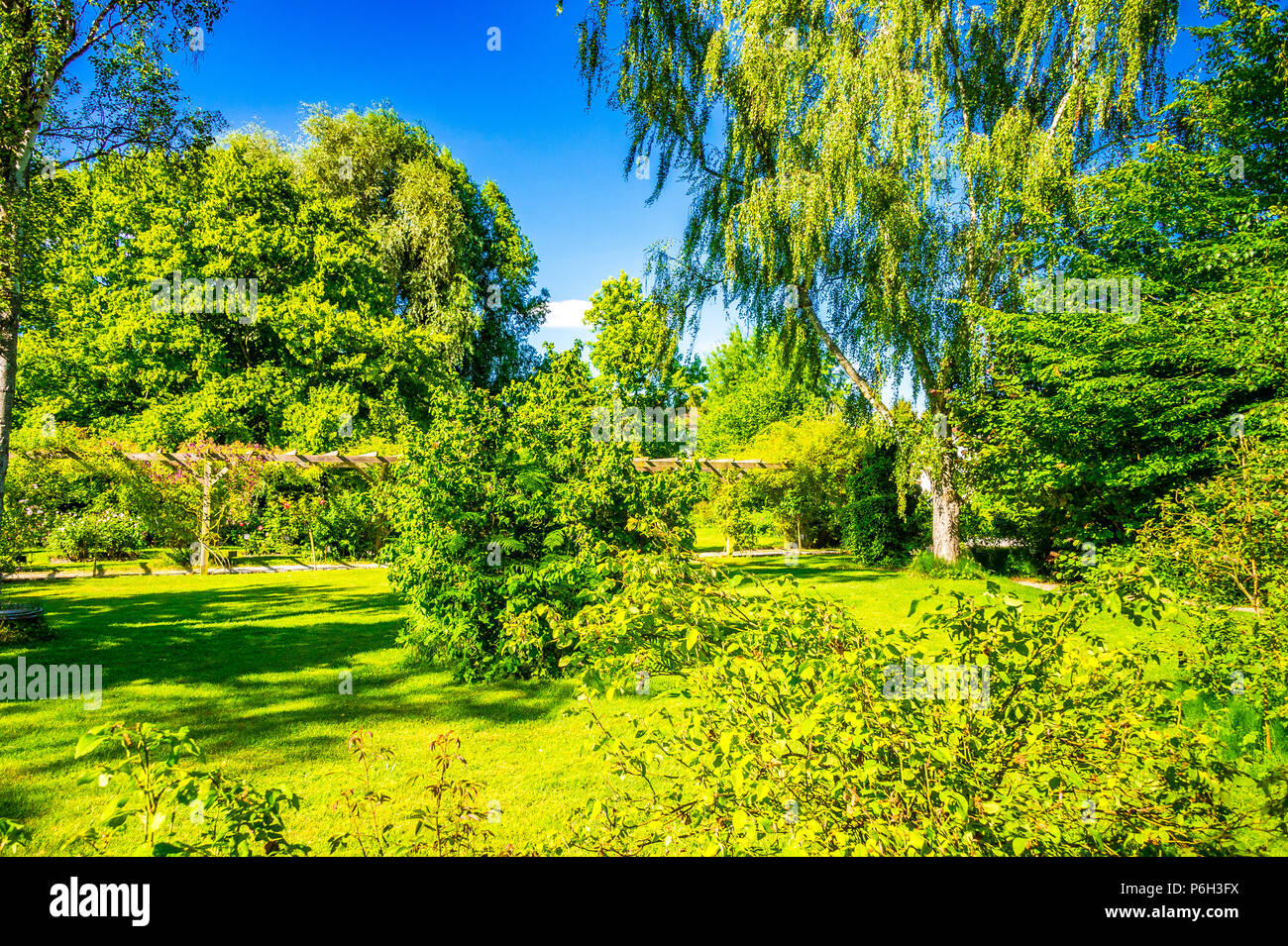 The Rose Garden in Provins, France Stock Photo