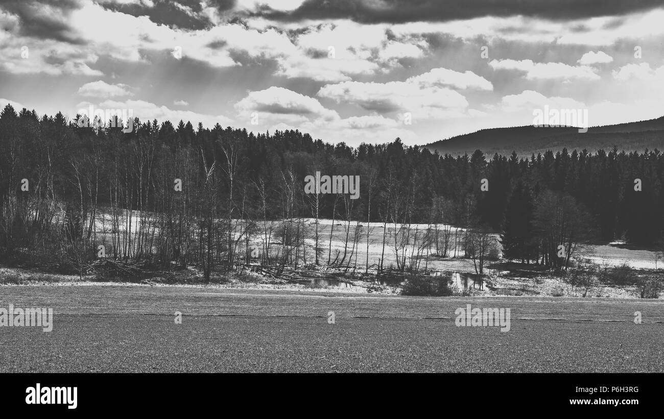 Landscape with clouds and trees in the bavarian forest in black and white Stock Photo