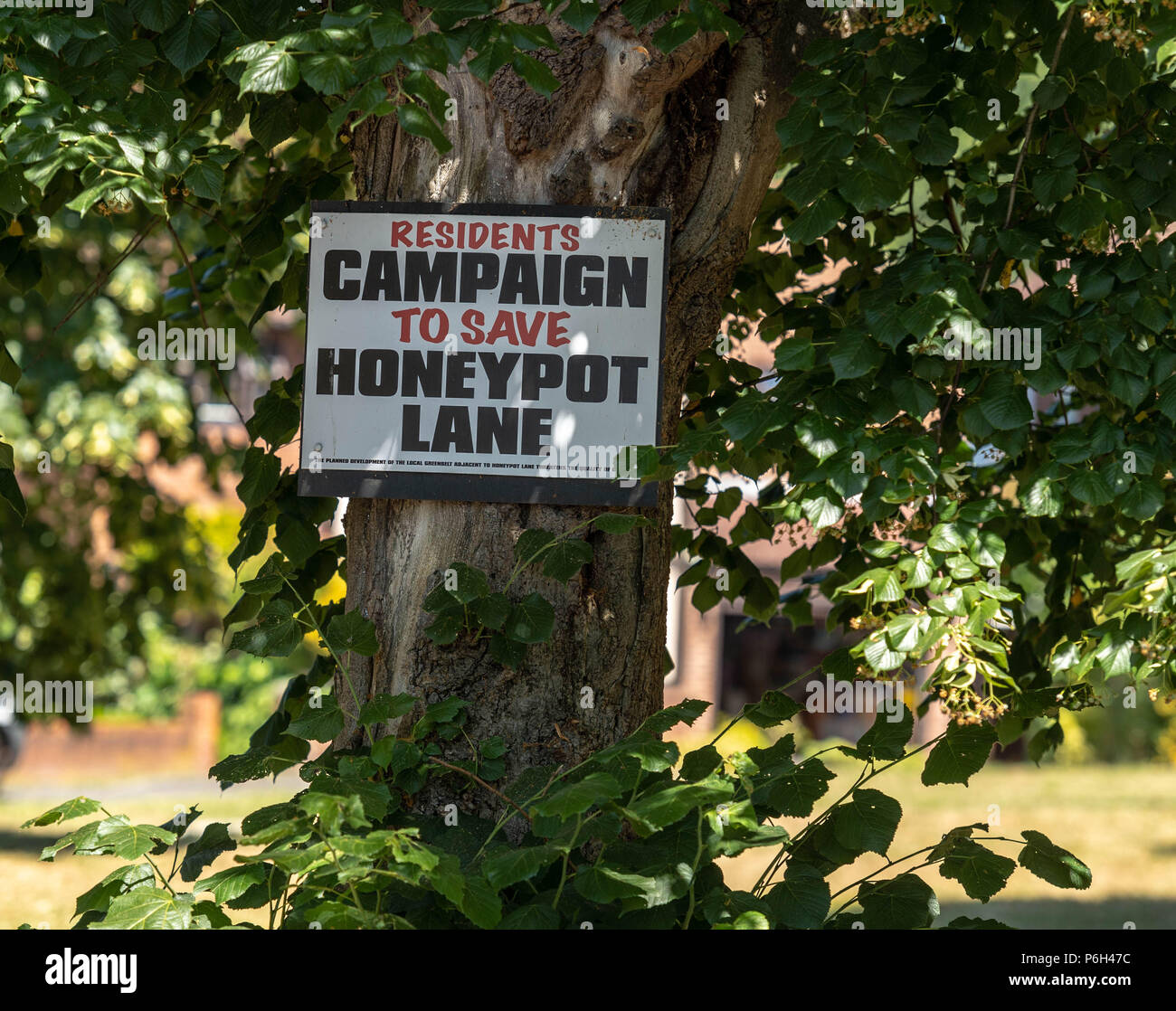 Protest placards against greenbelt development by local residents over the proposed building of 250 homes on a greenbelt site in Brentwood, Essex Stock Photo