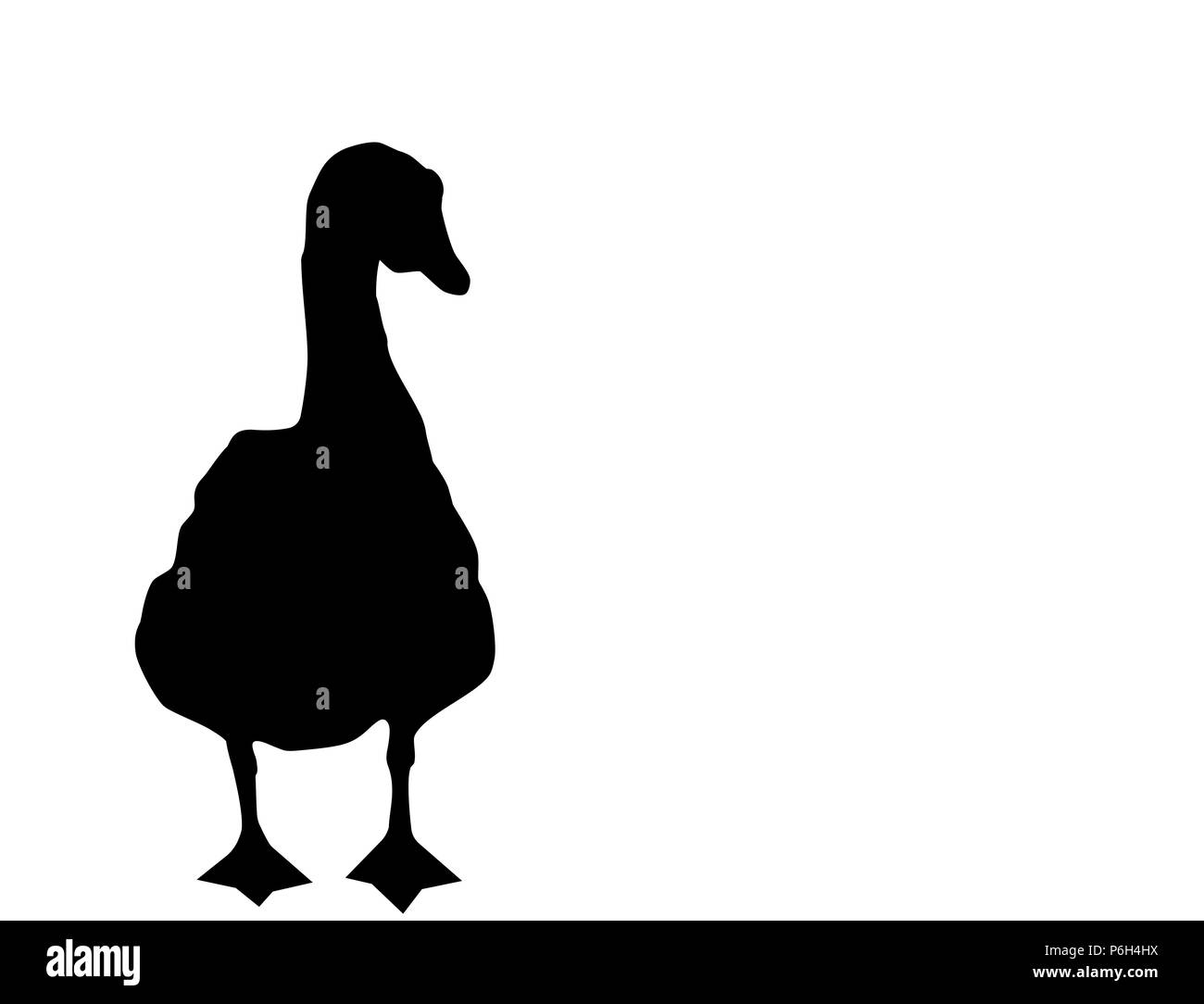 Black silhouette of goose on white background, vector, eps 10 Stock