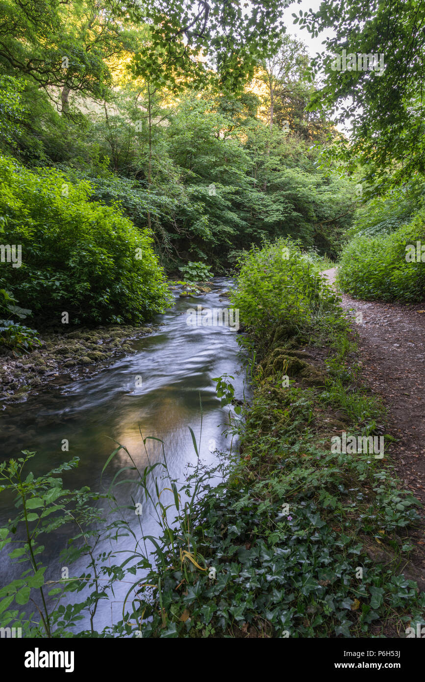 The gently flowing River Dove on a summer evening in the quiet