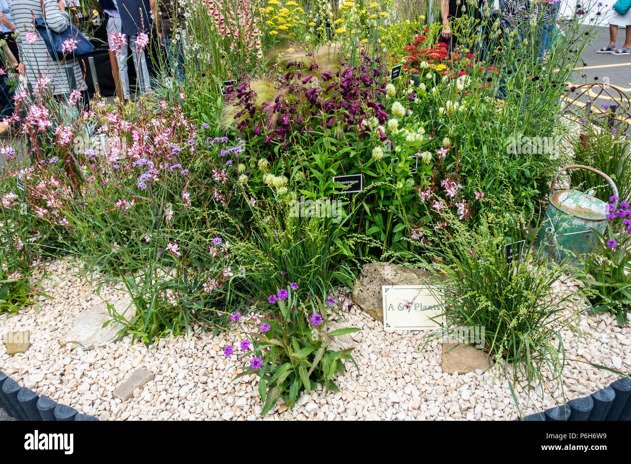 A display of perennial plants by A & J Plants in the plant village at Gardeners' World Live 2018, NE, Birmingham, England Stock Photo