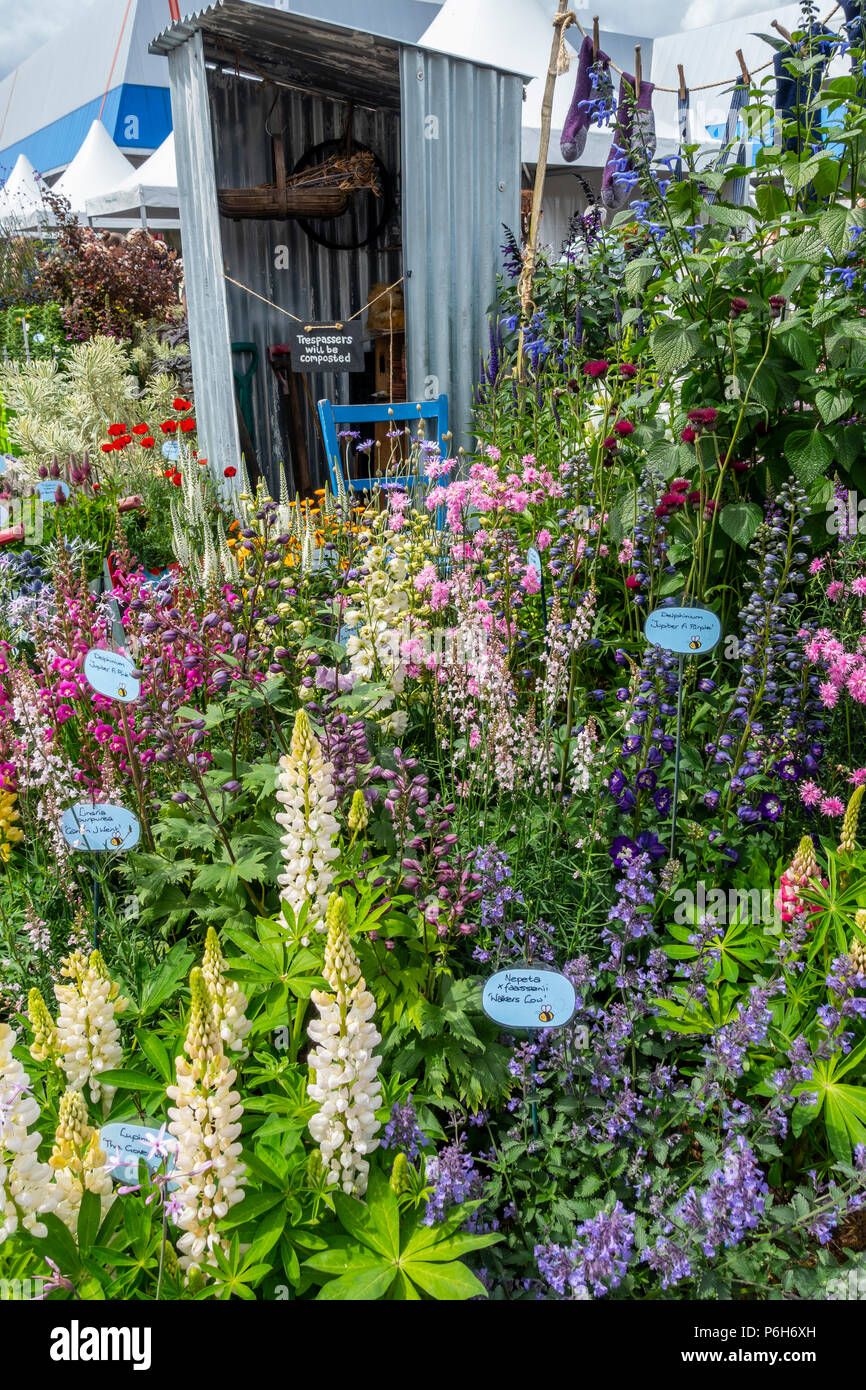 A selection of bee-friendly perennials on display in the Plant Village, Gardeners' World Live, 2018. Linaria, delphimiums, Trifolium rubnes, nepeta, Stock Photo