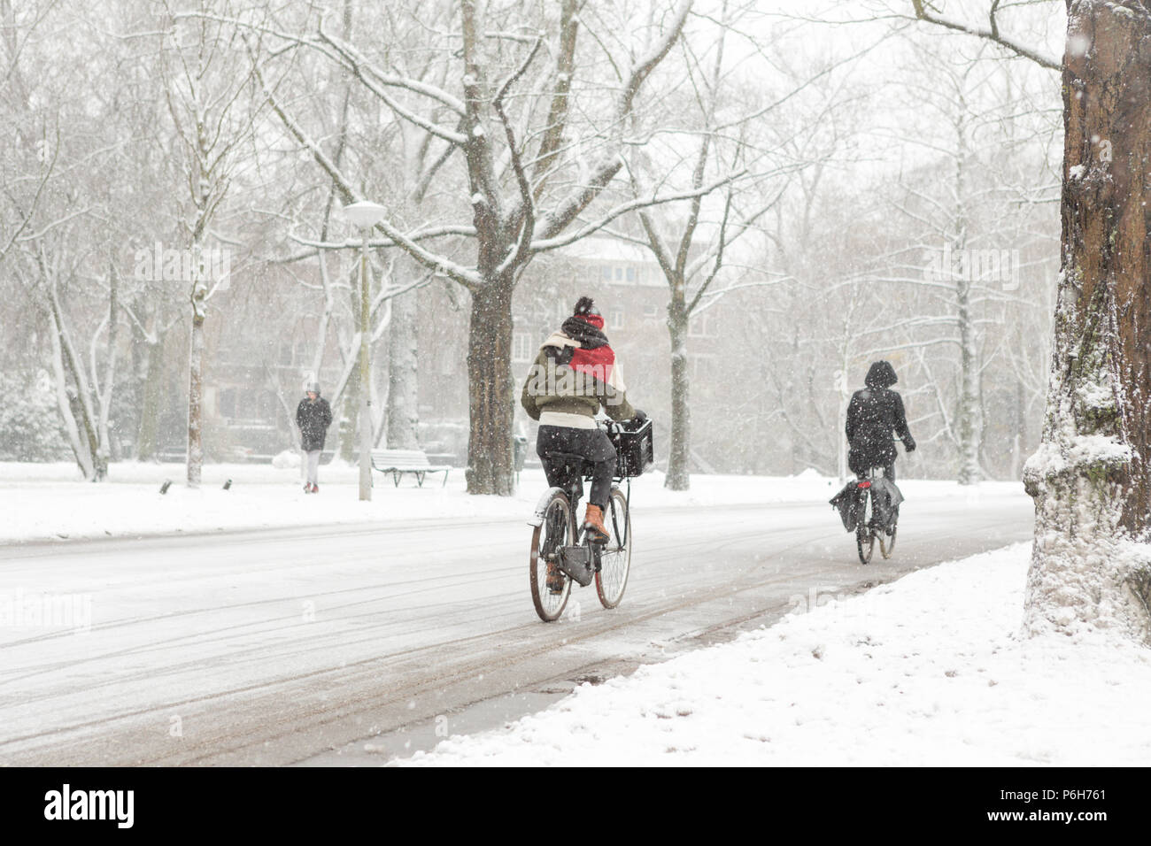 A woman biking in the Amsterdam Vondelpark on a snowy winter day in december in the Netherlands. Stock Photo