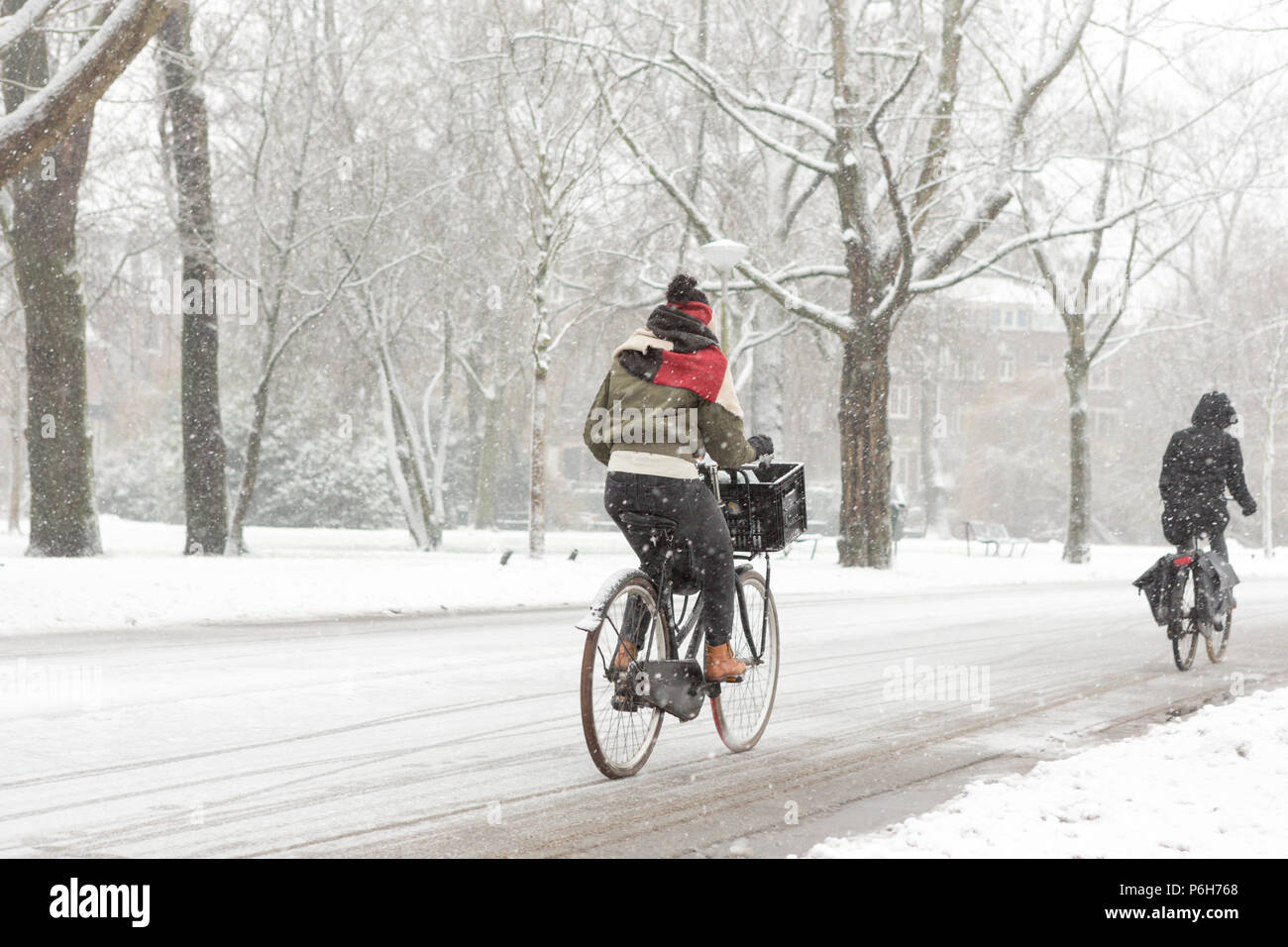 A woman biking in the Amsterdam Vondelpark on a snowy winter day in december in the Netherlands. Stock Photo