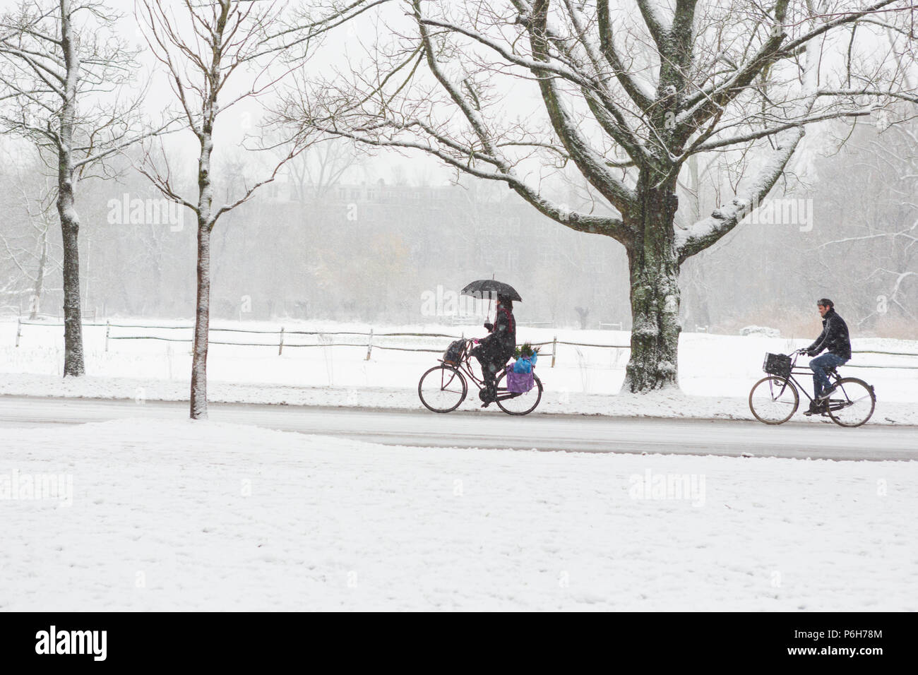 A woman with a umbrella and a man biking in the Amsterdam Vondelpark on a snowy winter day in december in the Netherlands. Stock Photo