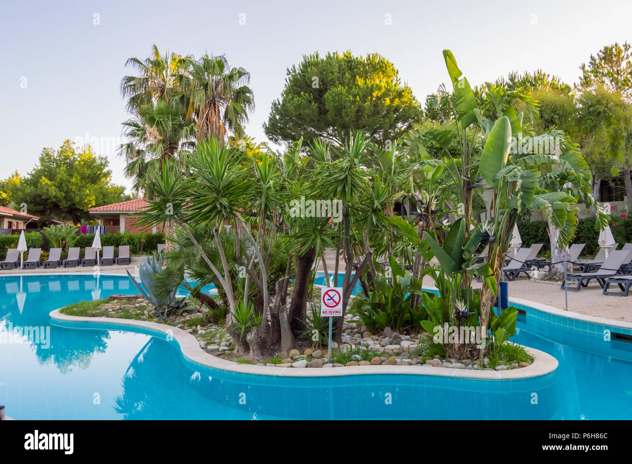 Small Island Of Palm Tree In The Middle Of A Pool At Sunrise With