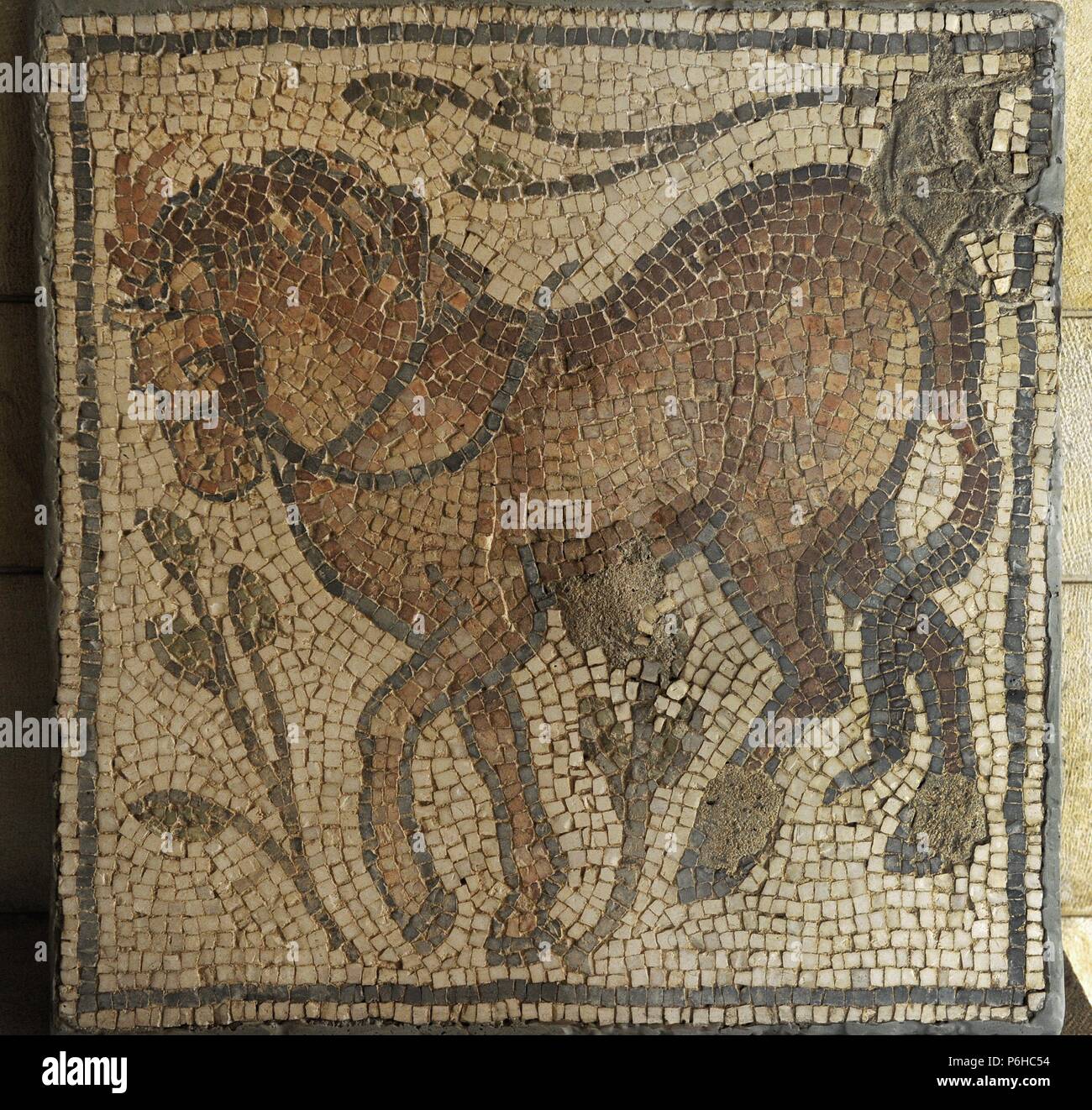 Mosaic. Beit Guvrin. Byzantine period, 4th century CE. Horse. Rockefeller Archaeological Museum. Jerusalem. Israel. Stock Photo
