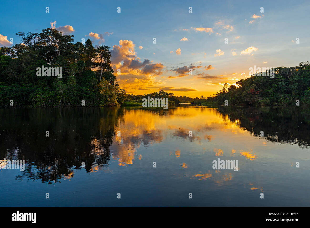 Sunset in the Amazon River Rainforest Basin with a reflection in a lagoon connected to the Napo River inside the Yasuni National Park, Ecuador. Stock Photo