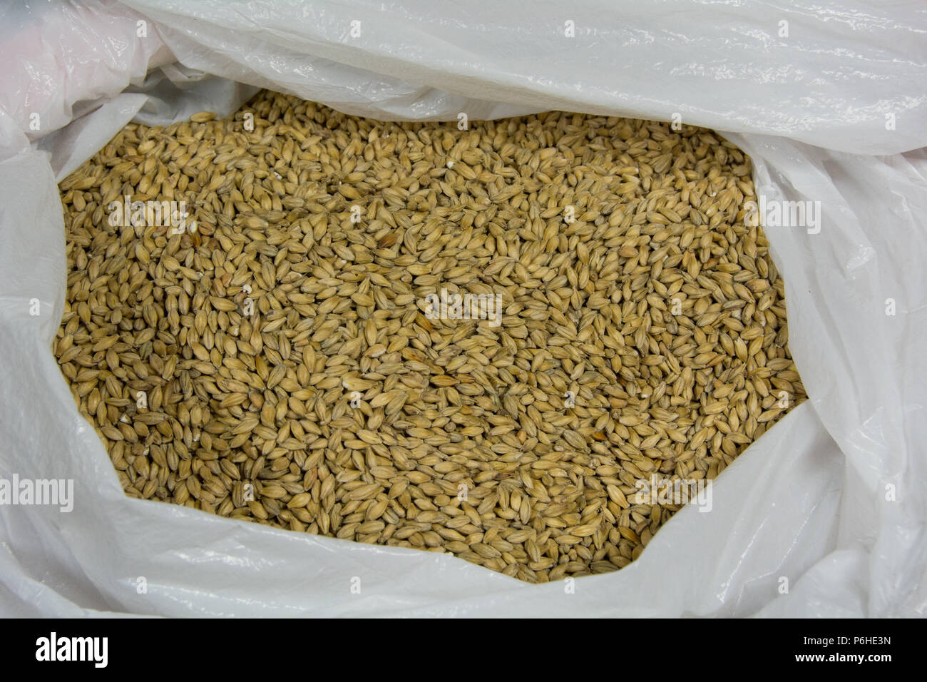A mix of different types of malts ready for milling by home brewers. Stock Photo