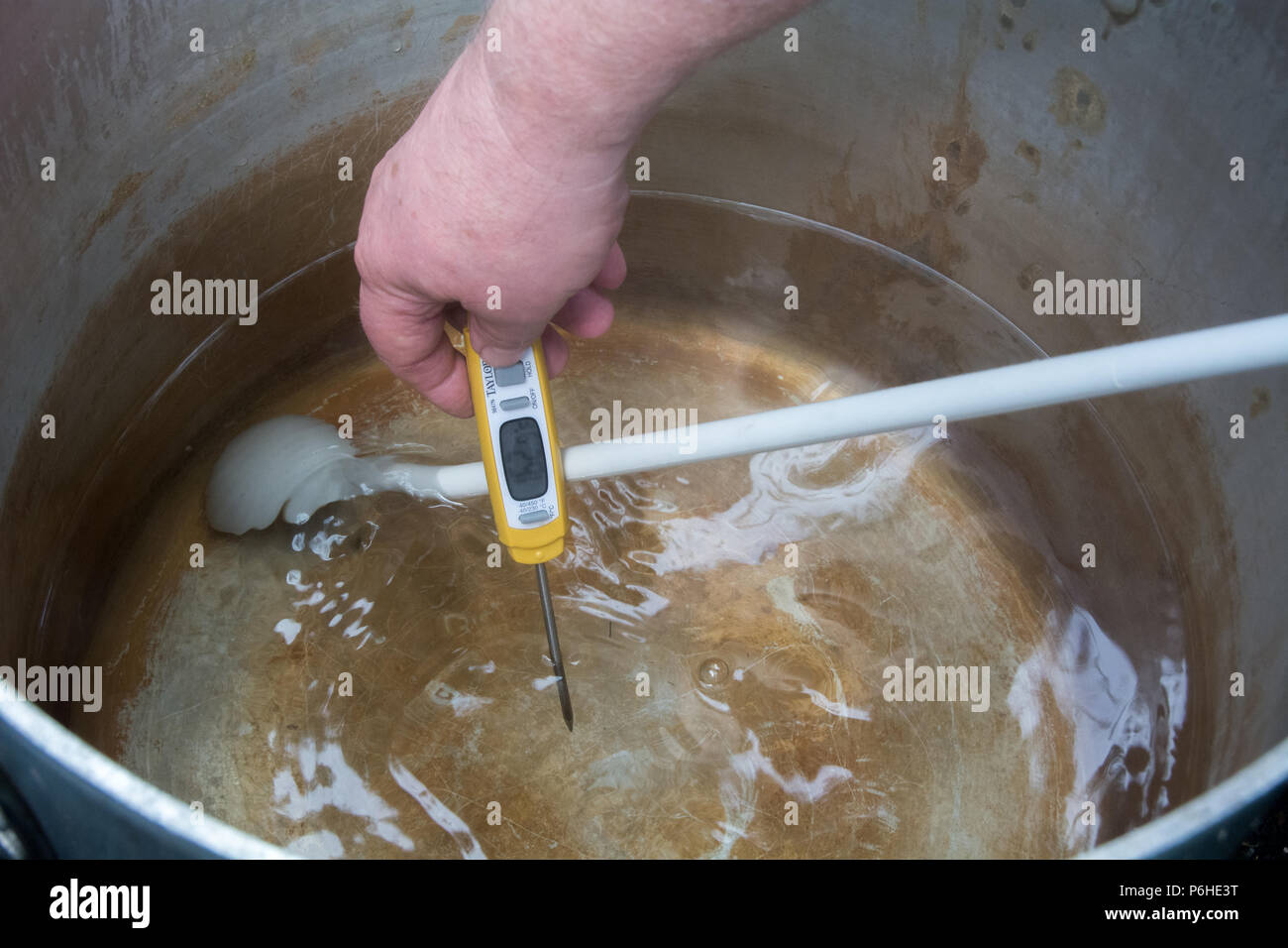 Checking the water temperature for the mash water and wort for home brew beer making Stock Photo