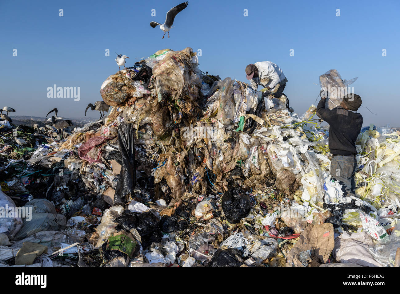 Pickers sort through a mound of plastic at the Robinson Deep landfill in South Africa's commercial capital of Johannesburg Stock Photo