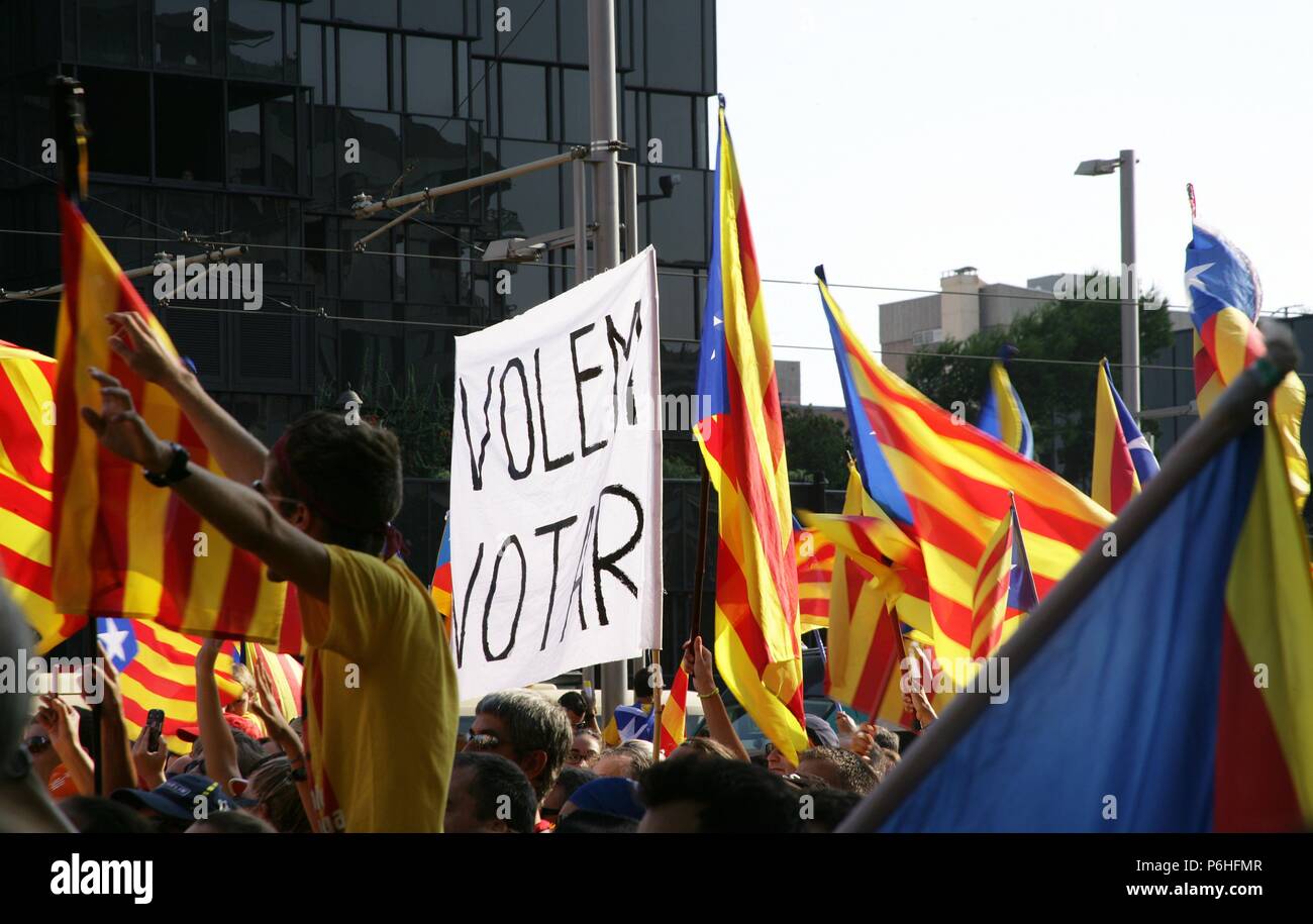 'DIADA NACIONAL DE CATALUNYA' (11 DE SEPTIEMBRE DE 2014). Concentración denominada 'VIA CATALANA 2014' que congregó a millares de personas a lo largo de la Diagonal y la Gran Via de les Corts Catalanes. La movilización reivindicaba la posibilidad de votar una consulta el 9 de noviembre de 2014. Organizada por 'ARA ES L'HORA', campaña unitaria impulsada por l'Assemblea Nacional Catalana' (ANC) y 'Omnium Cultural'. Personas concentradas en Diagonal a la altura de Plaza Maria Cristina. Barcelona. Cataluña. Stock Photo