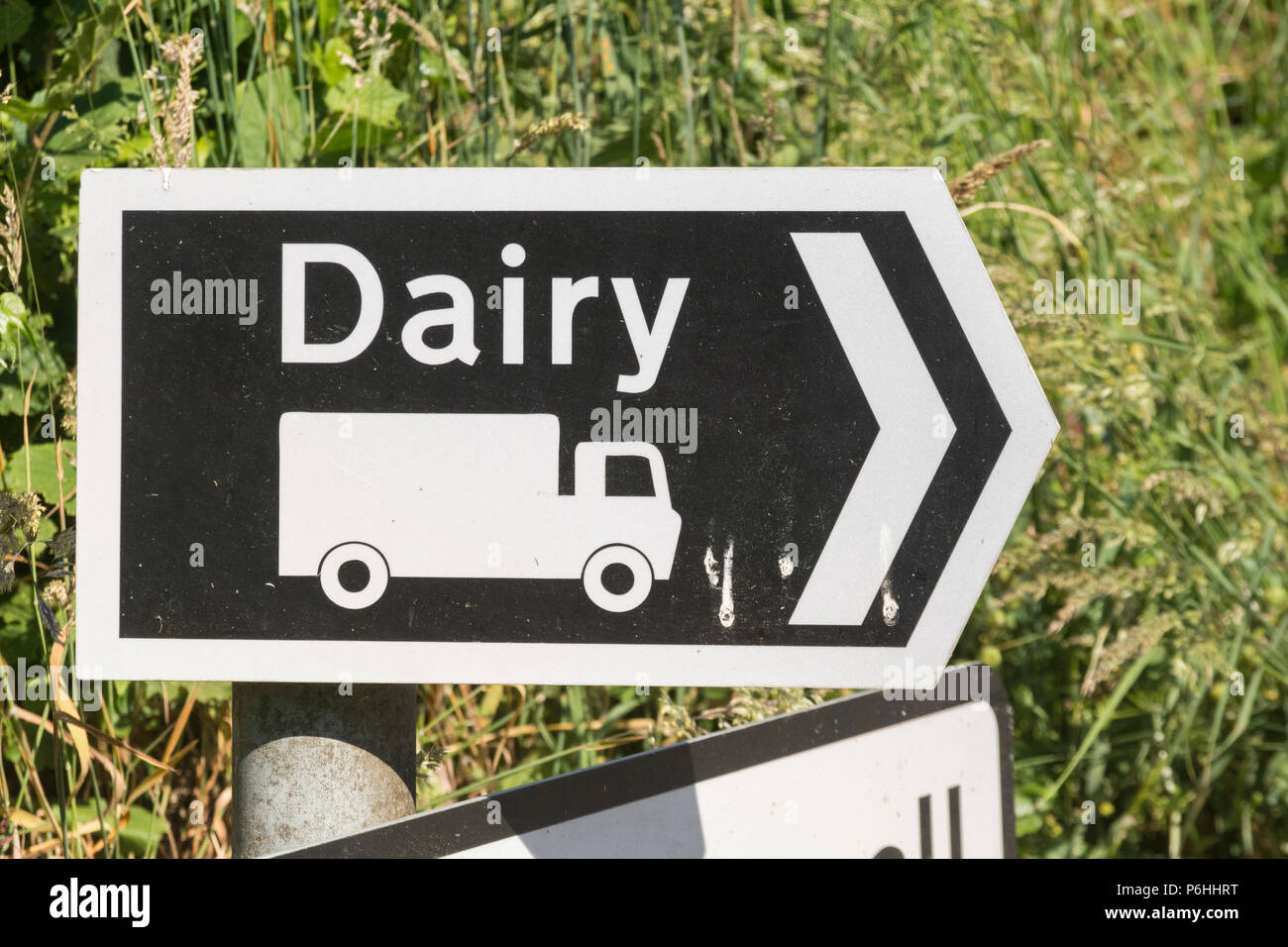 Sign to a dairy on a rural country road. Metaphor for the British Dairy industry, and UK milk production. Stock Photo
