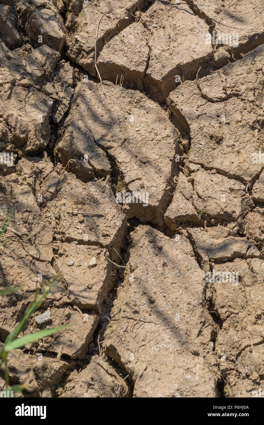 Dry water channel at field edge. For UK water shortage, climate change, possible famine, heatwave concept, heatwave crops, gardening in heatwave Stock Photo