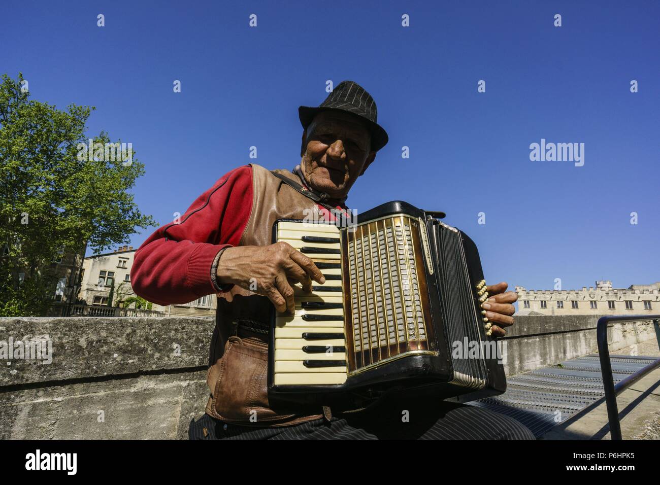 musico callejero, plaza del palacio,Avignon,Francia, Europa. Stock Photo