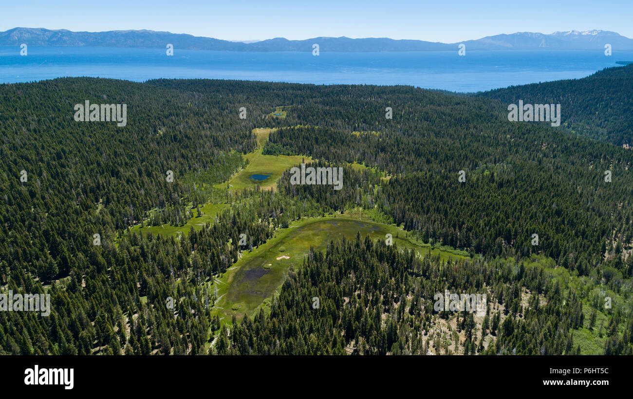 Paige Meadows, a popular hike and mountain bike trail in North Lake Tahoe along the Tahoe Rim