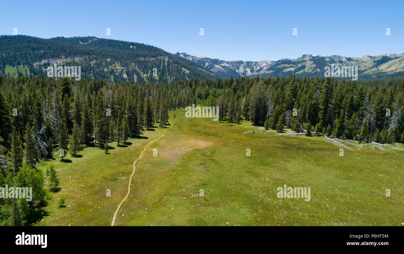 Paige Meadows, a popular hike and mountain bike trail in North Lake Tahoe along the Tahoe Rim Trail as seen from the air. Stock Photo