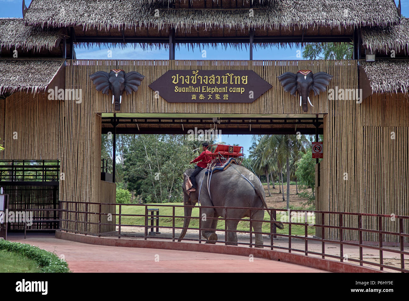 Elephant camp, rural Thailand elephant trekking Stock Photo - Alamy