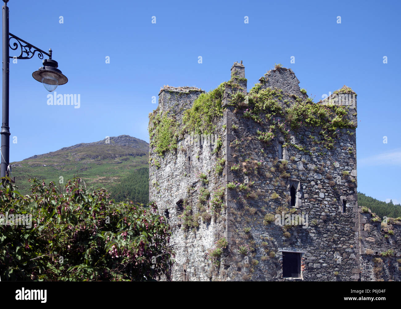 Taaffe’s Castle, 16th century tower house in Carlingford Stock Photo
