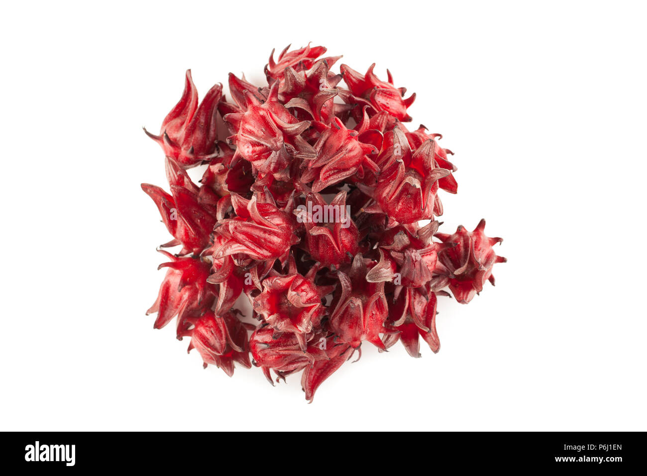 Top view angle of red roselle isolated on white background and soft shadow Stock Photo