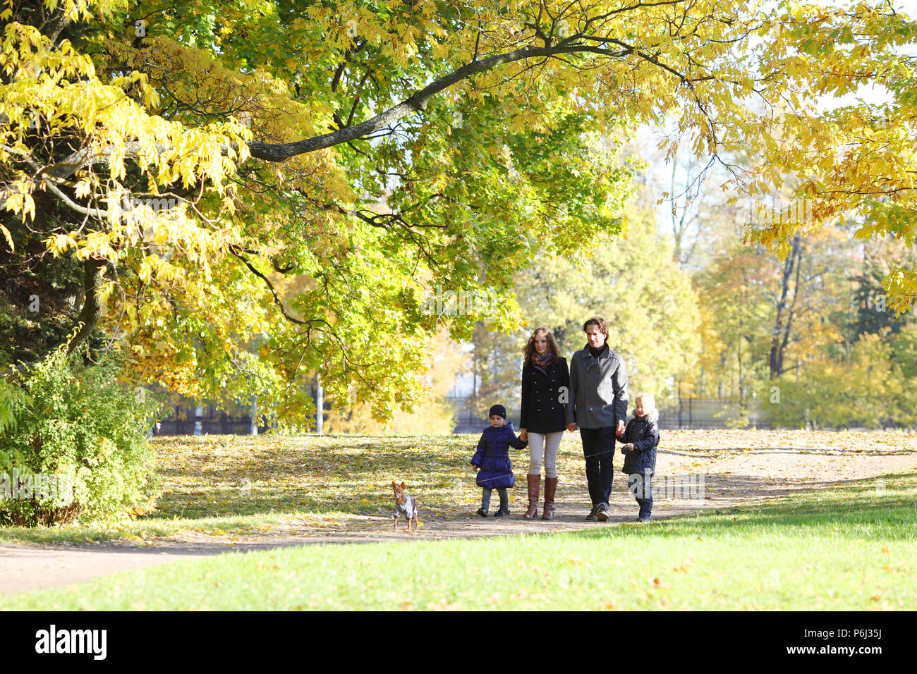 Happy family with two children walking in autumn park holding hands ...