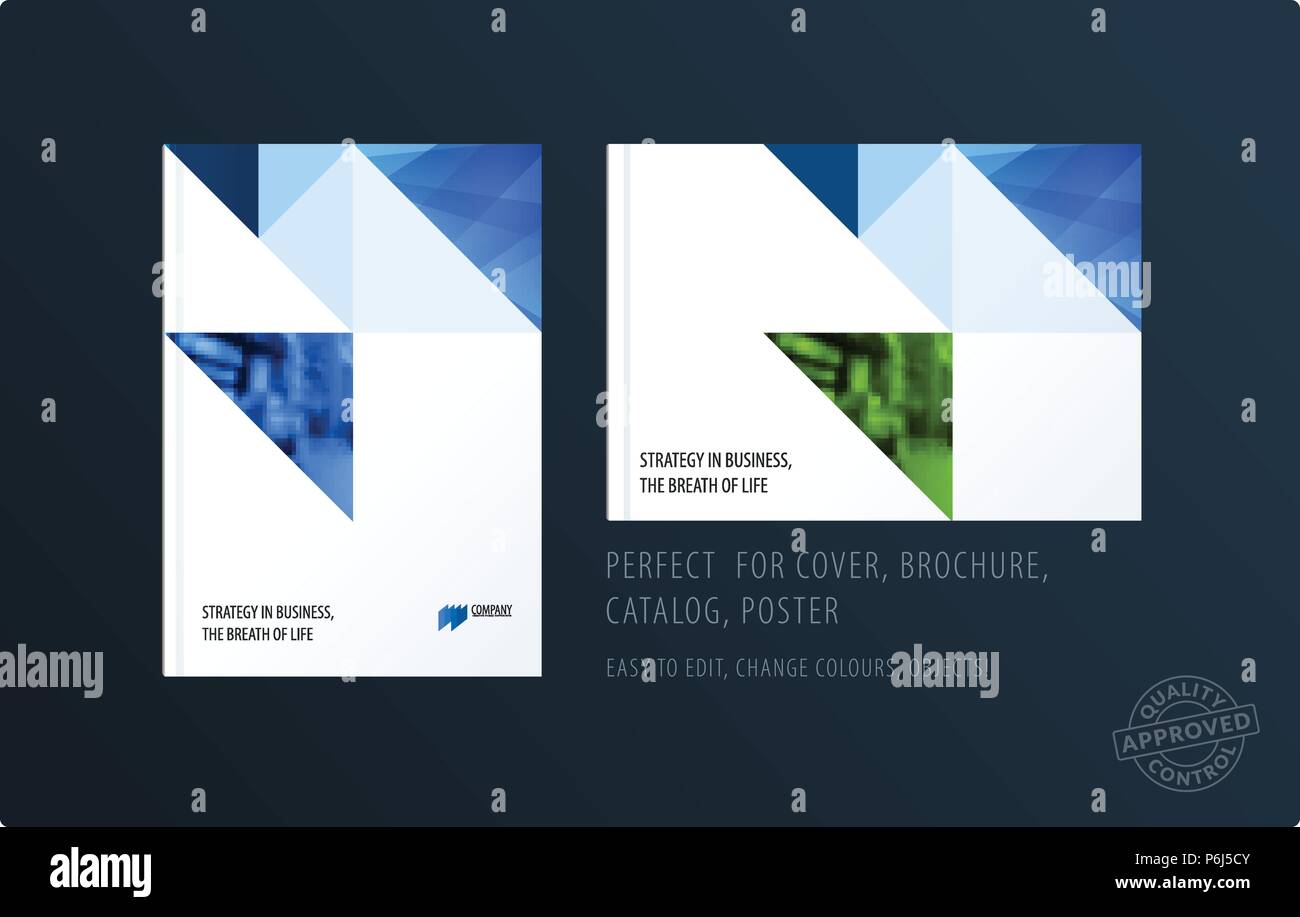 Triangular Pattern Brochure Brochure design triangular template. Colourful modern abstract set ...