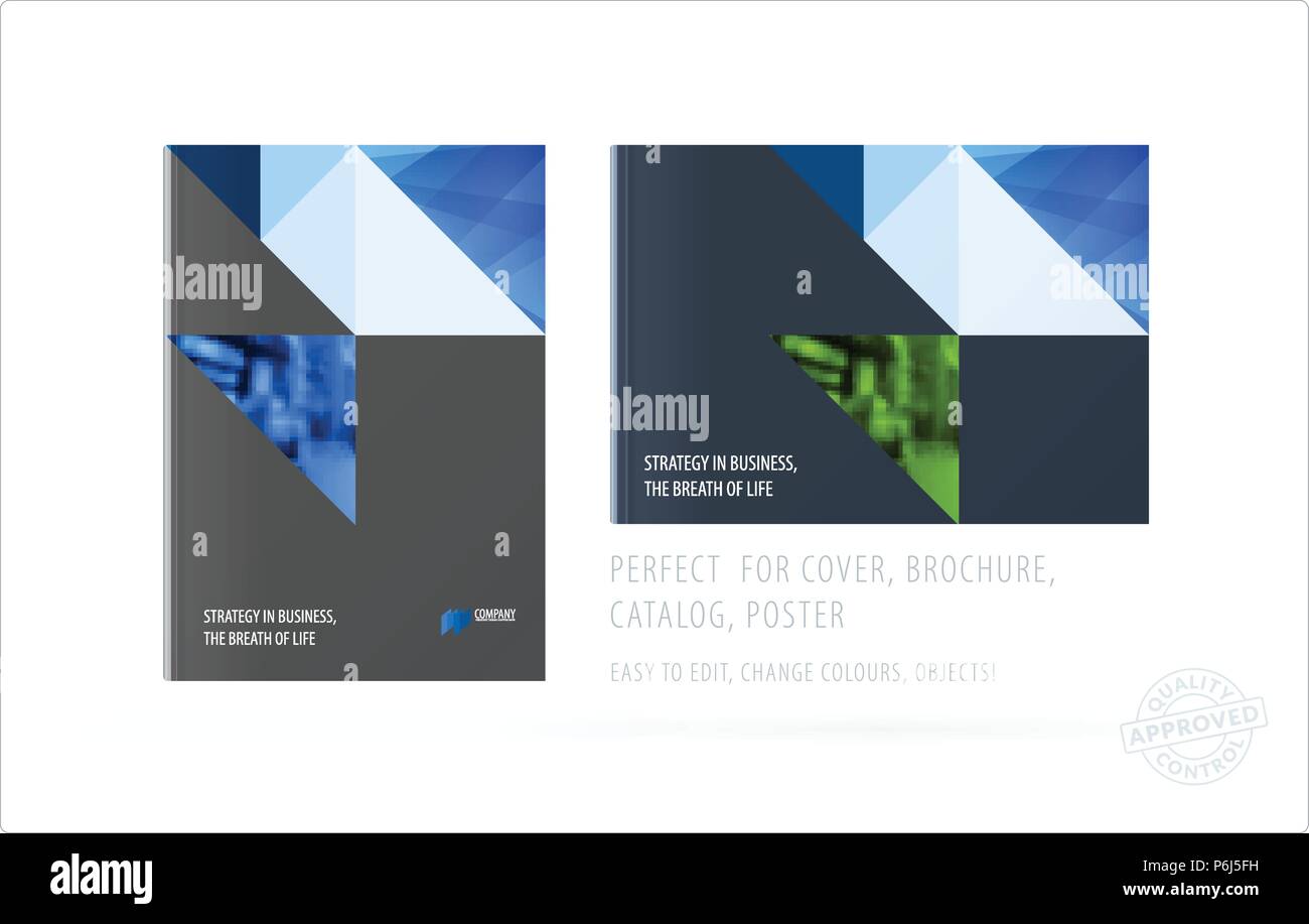 Triangular Pattern Brochure Brochure design triangular template. Colourful modern abstract set ...