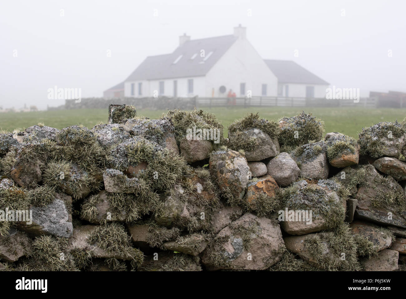 Great Britain, Shetland, Fair Isle. Typical farm house with moss covered rock wall. Stock Photo