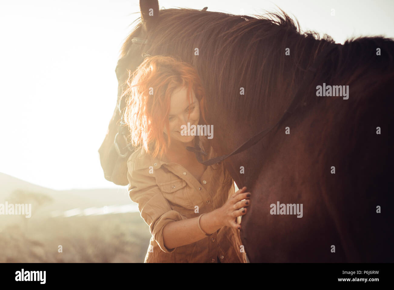 real love and friendship concept between nice beautiful caucasian lady and amazing horse. sunset time and backlight. sweetness and tenderness in horse Stock Photo