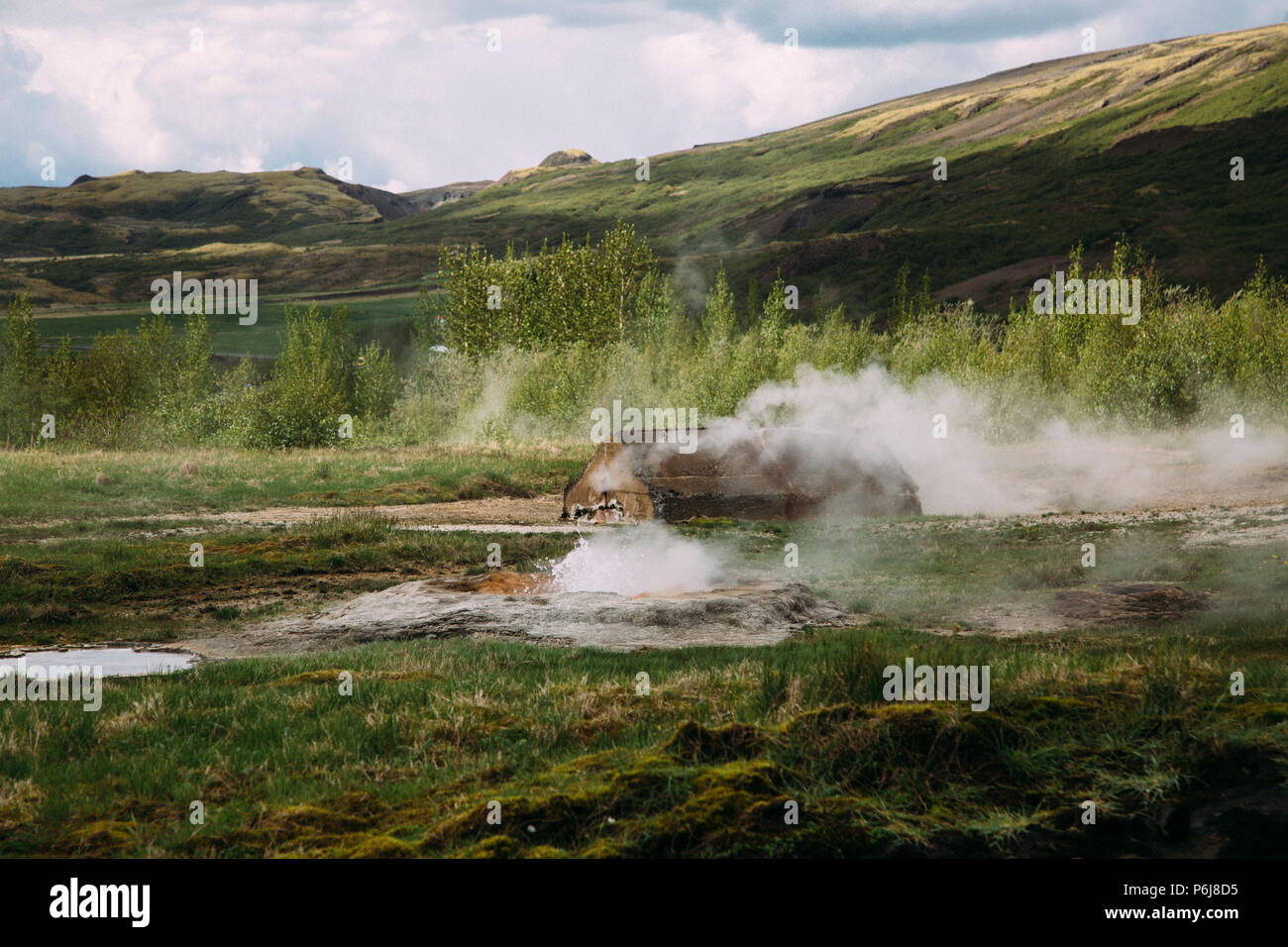 Geyser, surrounded by lush green landscape Stock Photo