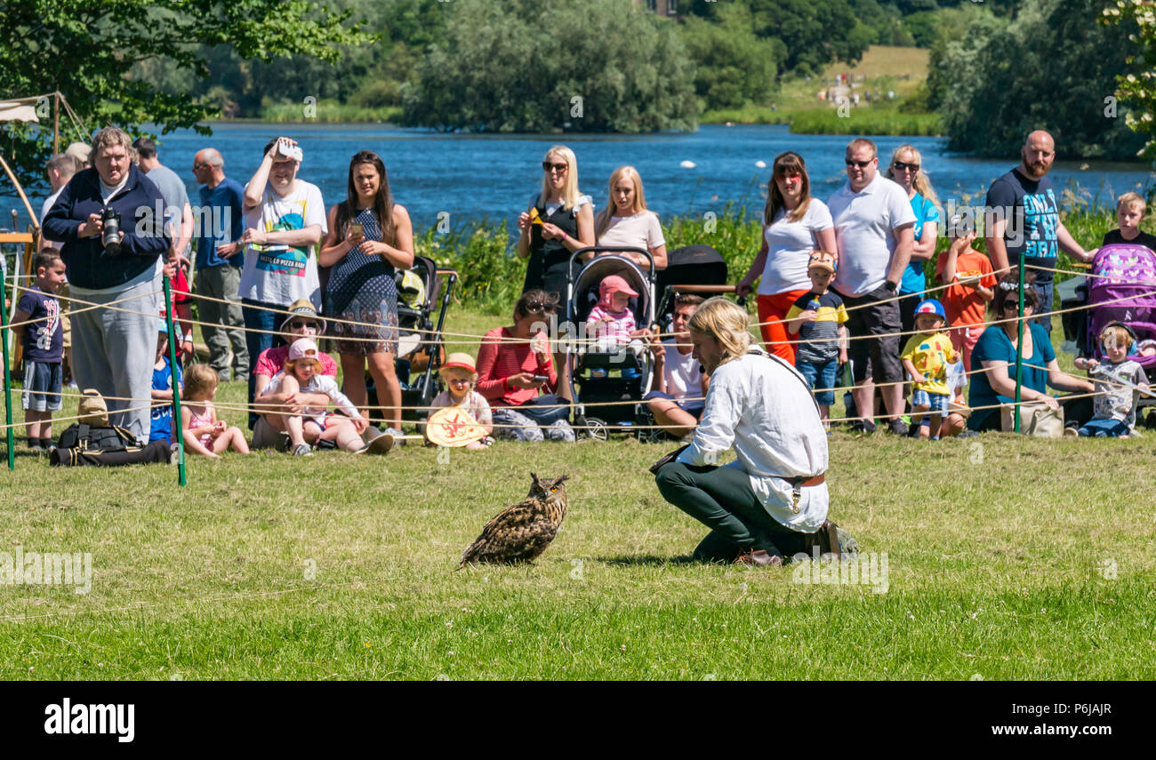 Medieval falconry hi-res stock photography and images - Alamy