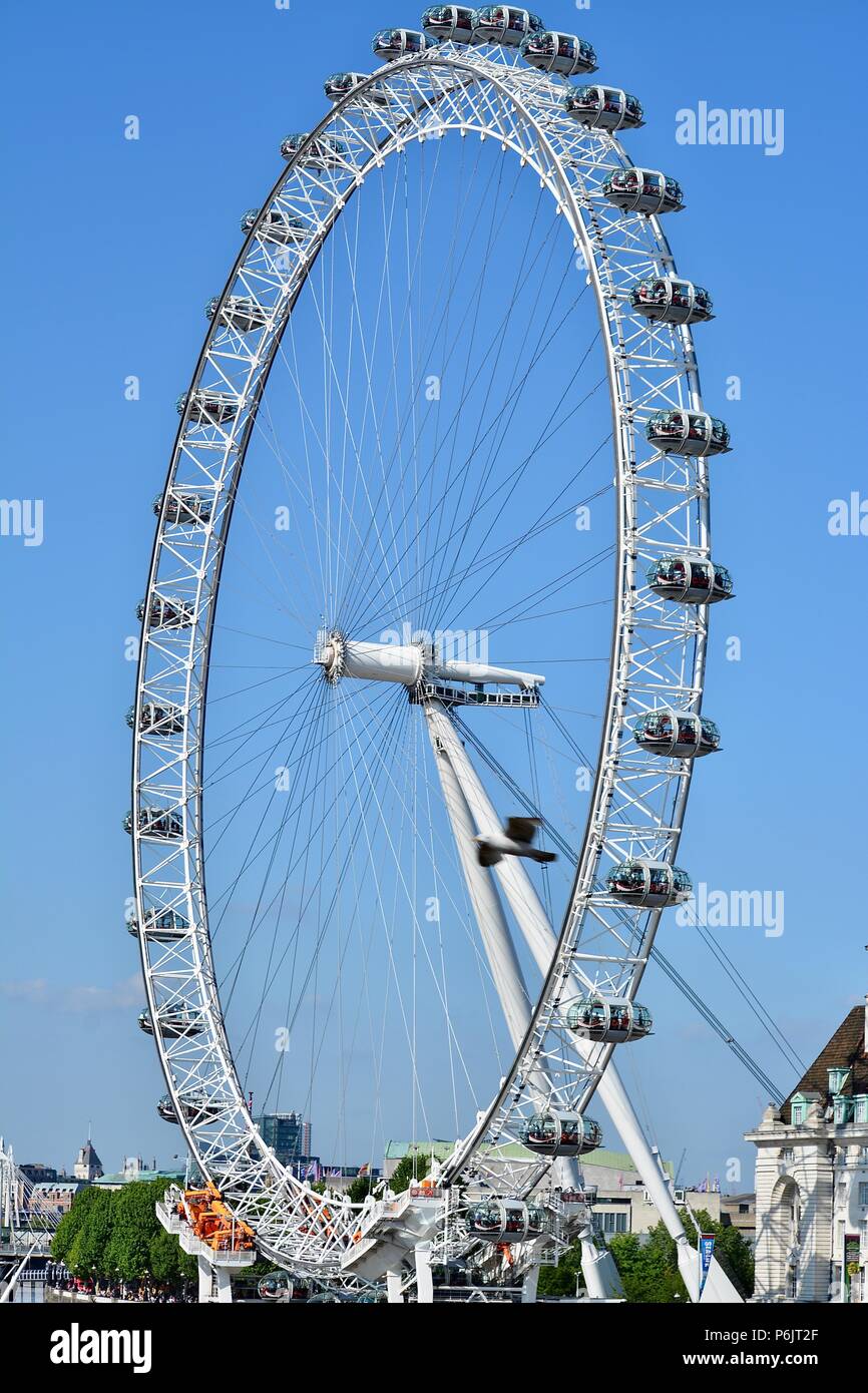 The iconic London Eye observation wheel along the River Thames, London ...