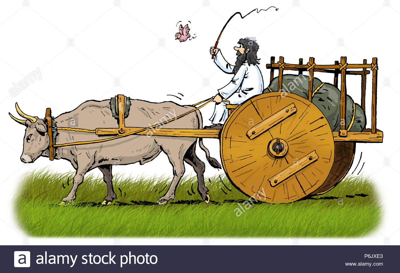 Ox Whip Stock Photos & Ox Whip Stock Images Alamy