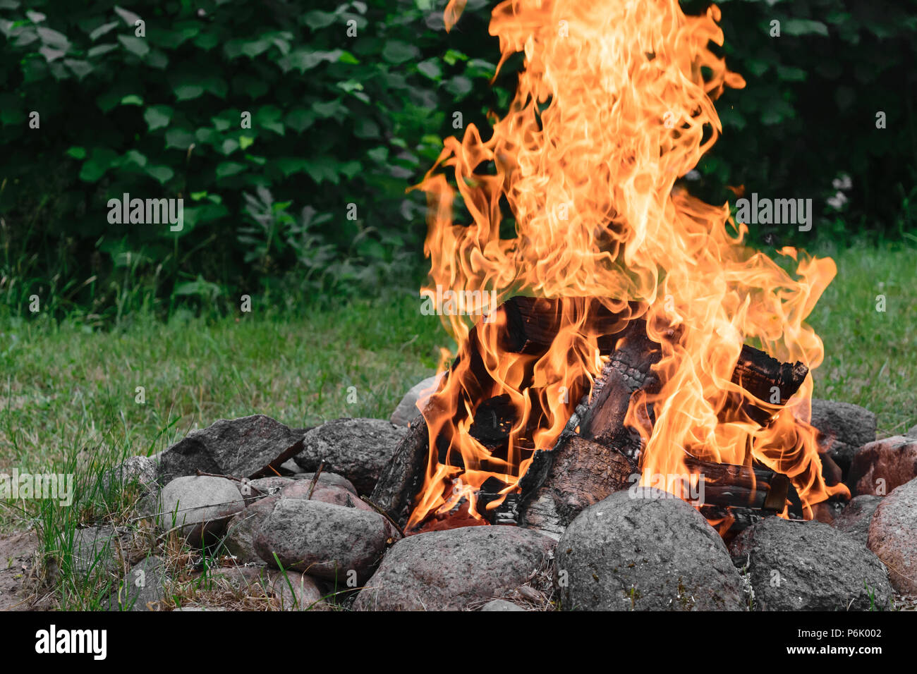 Burning Bonfire With In Round Fireplace From Stones In The Nature