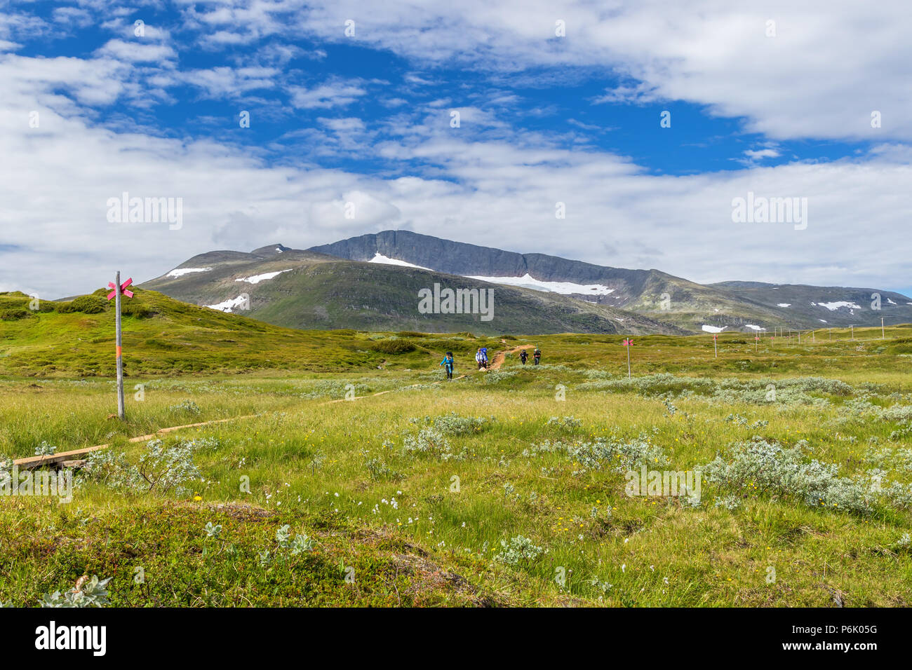 Hiking trail with hikers in Helag's mountain scenery in Sweden Stock Photo