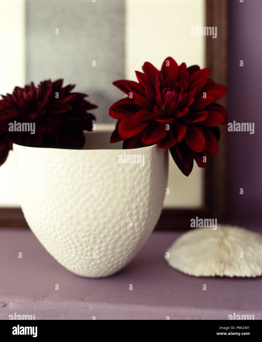 Still Life Of Two Red Dahlias In A White Cone Shaped Ceramic Vase