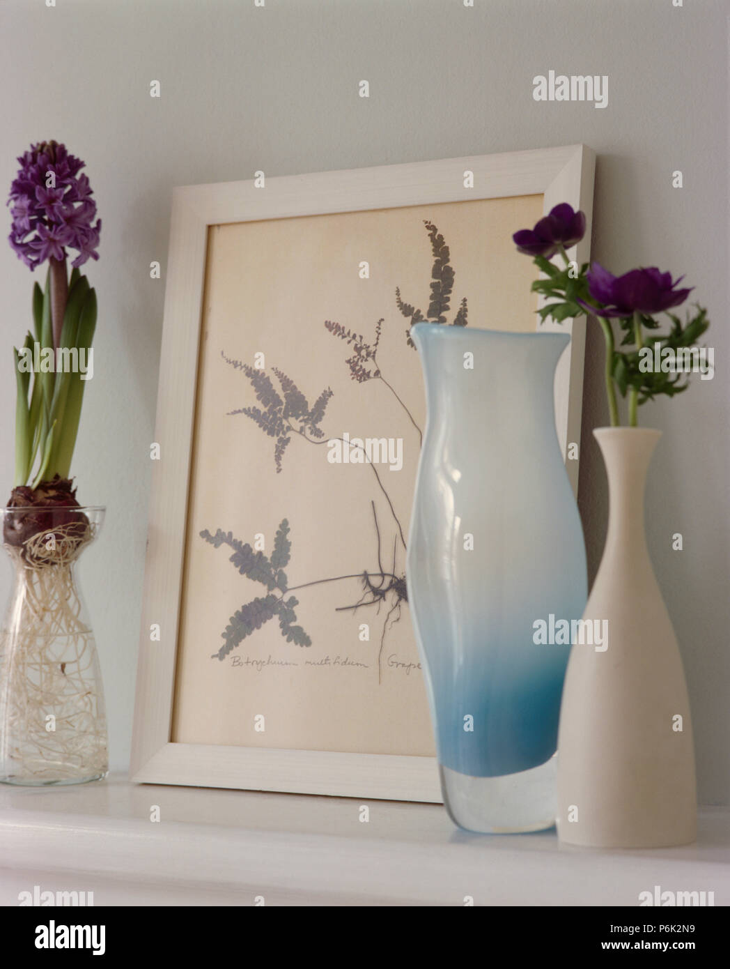 still life of cream ceramic and blue glass vases with picture and blue hyacinth in glass vase P6K2N9