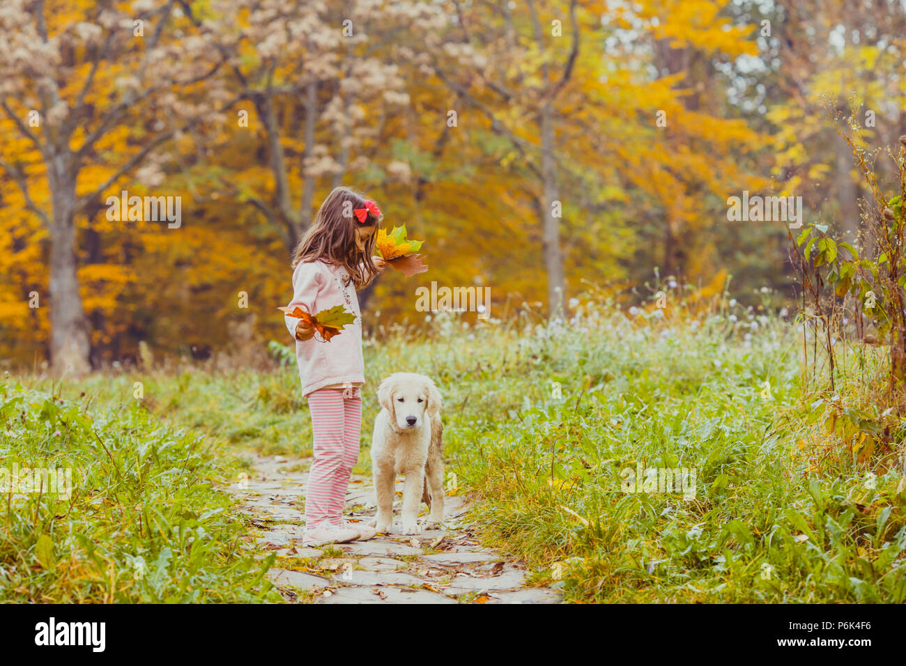 The girl and her golden retriever dog Stock Photo - Alamy