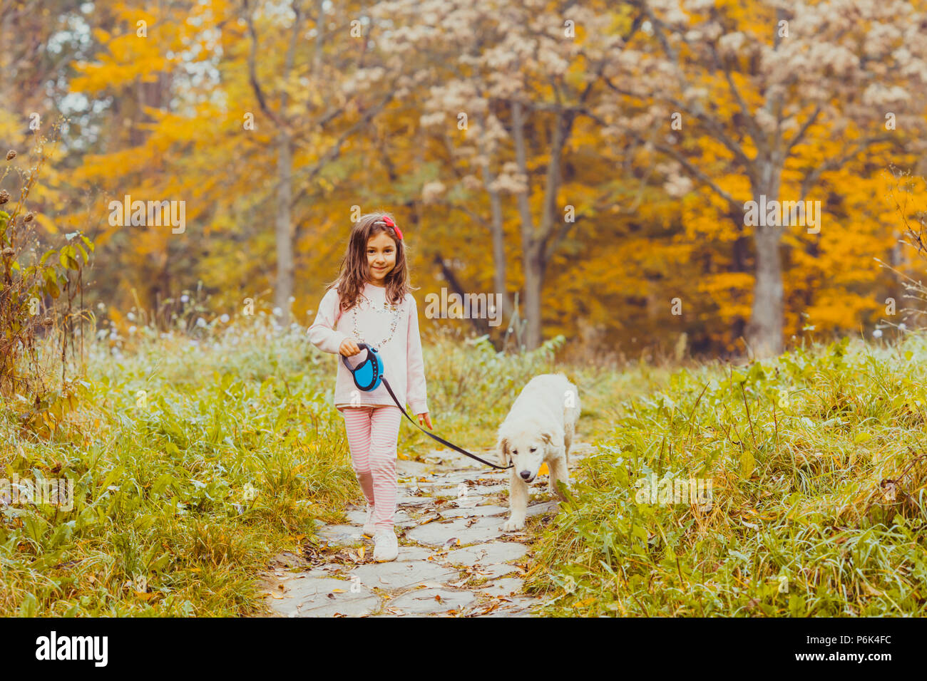 The girl and her golden retriever dog Stock Photo - Alamy