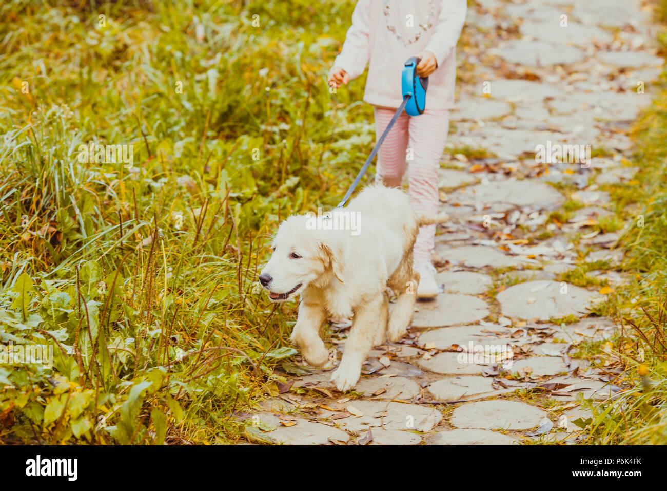 The girl and her golden retriever dog Stock Photo - Alamy