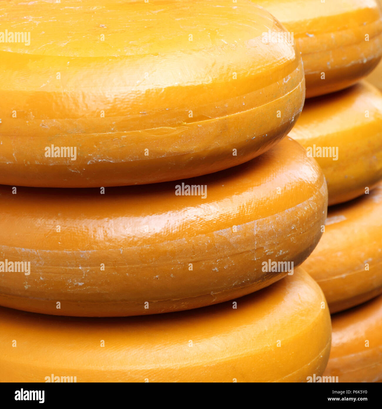 Gouda cheese wheel hires stock photography and images Alamy