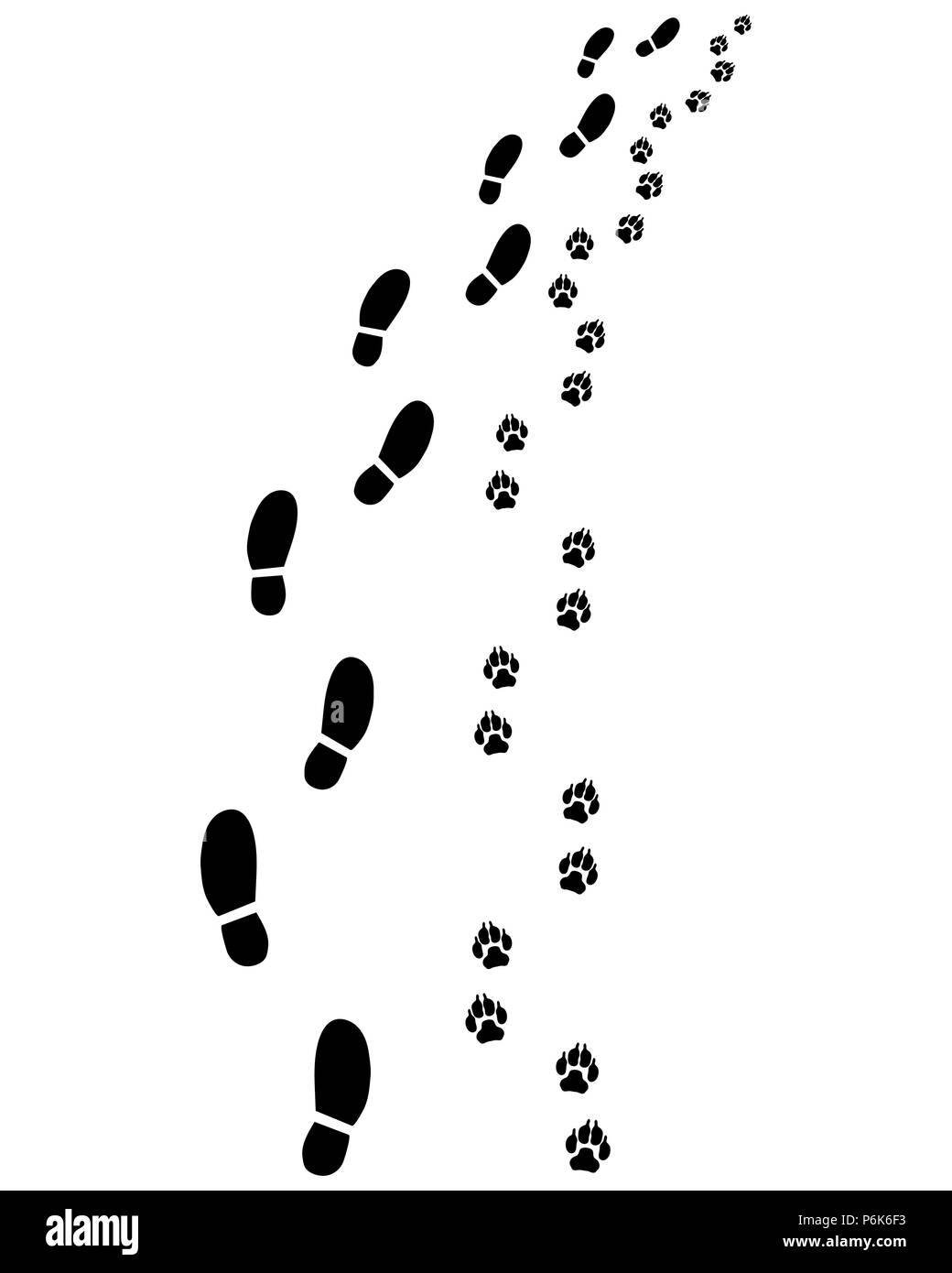 Footprints of man and dog, turn right, vector Stock Photo
