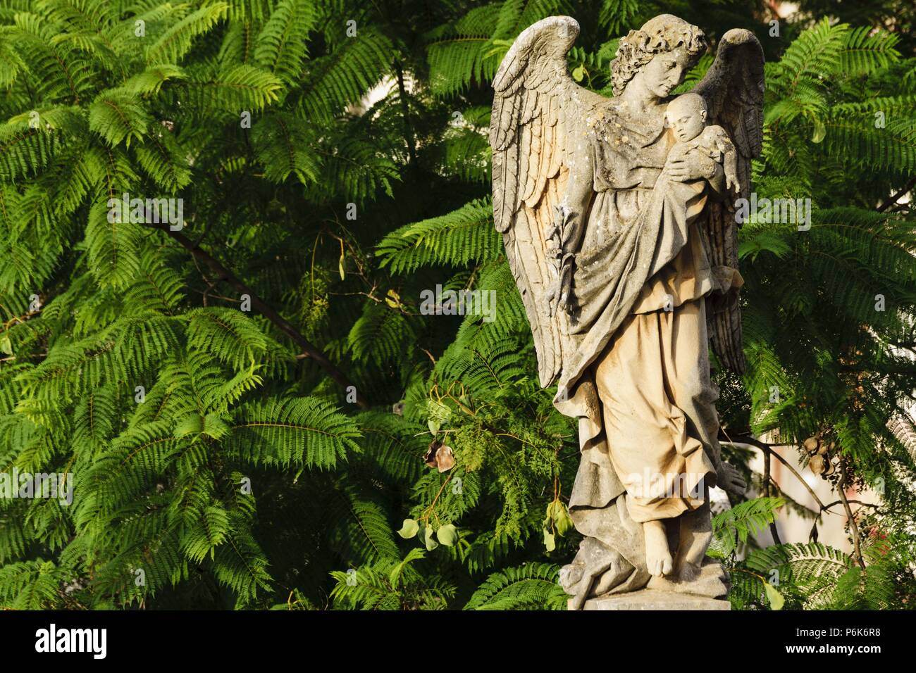 angel con un niño en brazos, cementerio historico de palma, inaugurado el 24 de marzo de 1821,Palma, Mallorca, islas baleares, Spain. Stock Photo