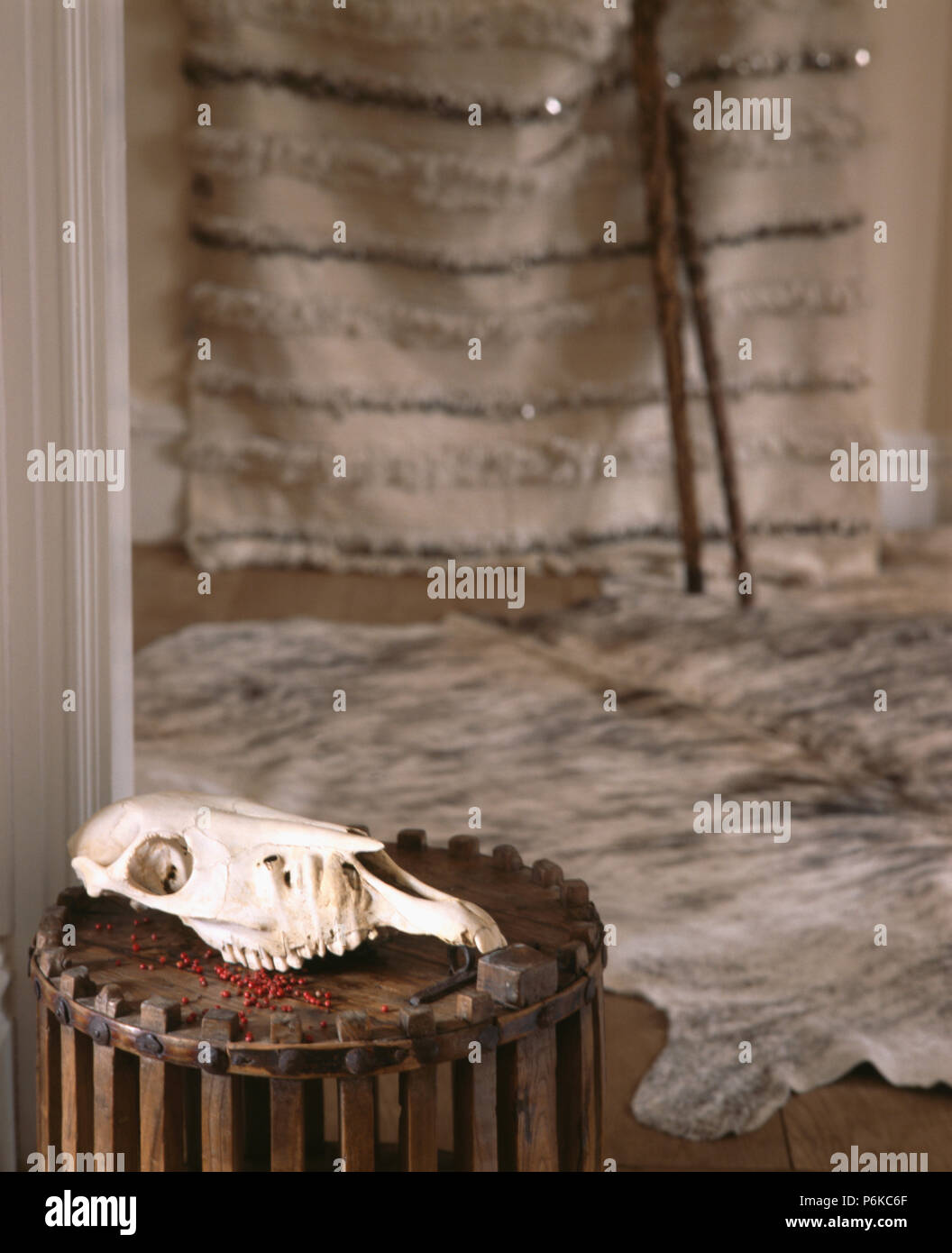 Close Up Of Animal Skull On Small Rustic Wood Table Stock