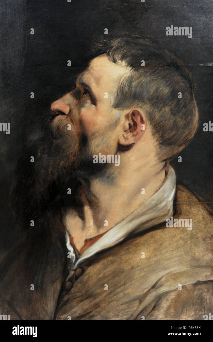 Man and Artist Peter Paul Rubens
