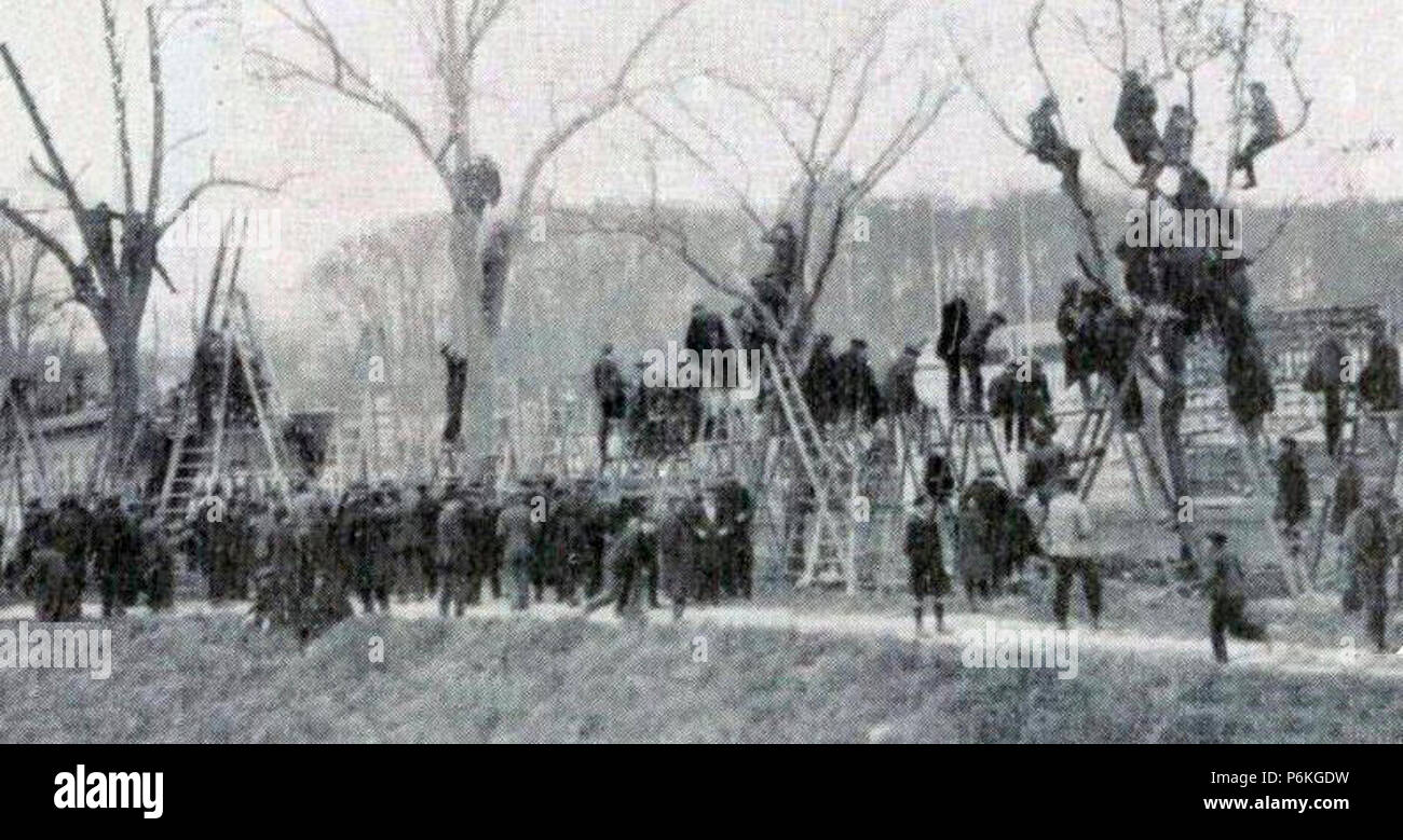 1912 (31 mars) public dans les arbres du Stade des Ponts Jumeaux lors de la finale du championnat. Stock Photo