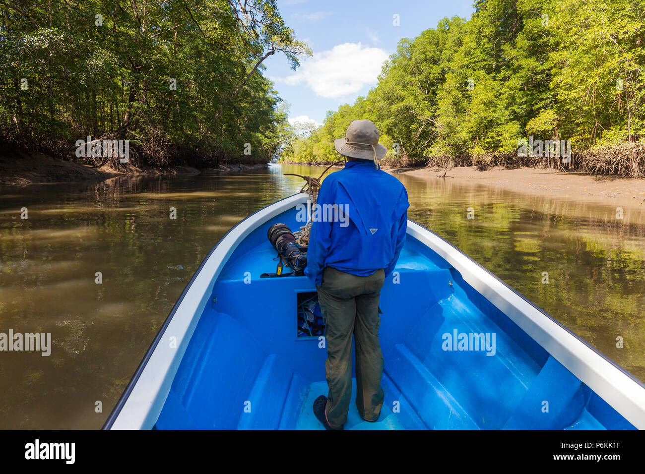 Wildlife photographer in a boat exploring the mangrove forest of Golfo de Montijo, Pacific coast, Veraguas province, Republic of Panama. Stock Photo