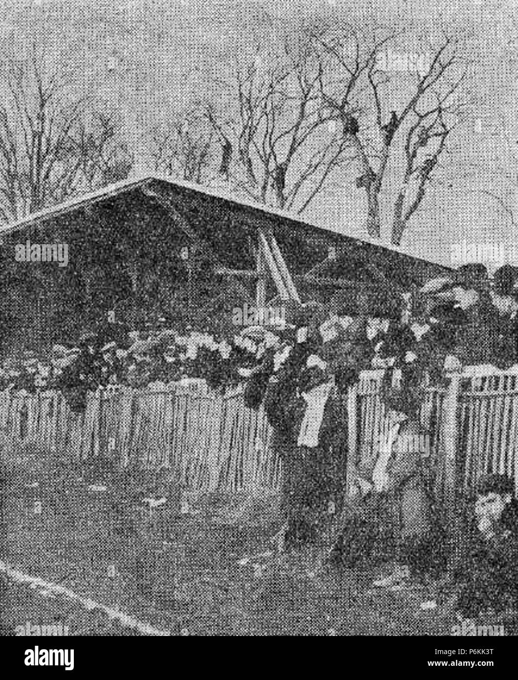 1914 les places populaires du stade des Ponts-Jumeaux pour accueillir le T.O.E.C. (...ainsi que dans les arbres victoire du Stade toulousain). Stock Photo