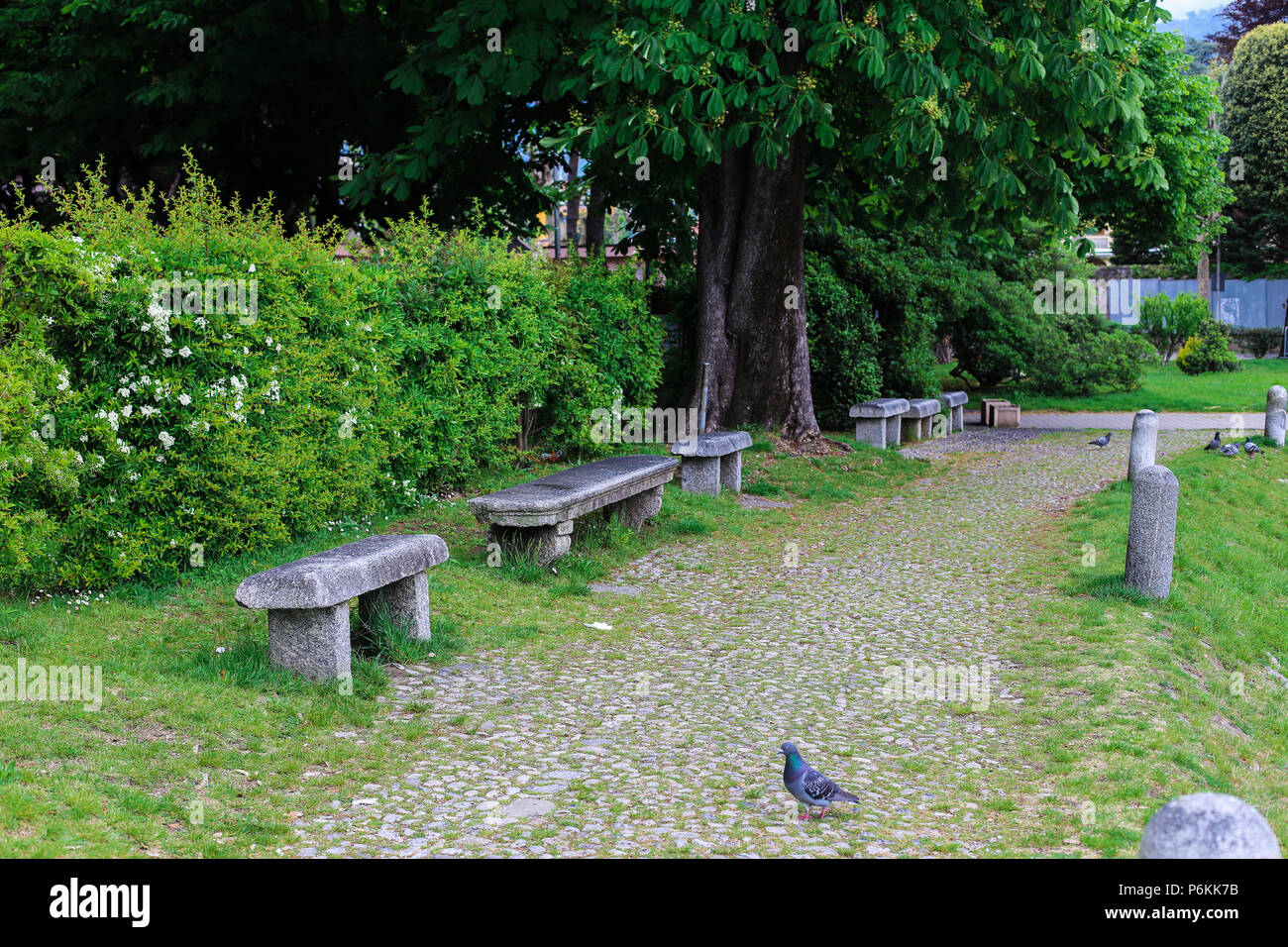 Stone Park Benches Stock Photos Stone Park Benches Stock Images